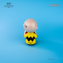 Carica l'immagine nel visualizzatore di Gallery, Charlie Brown e Snoopy nella ciotola dell'acqua