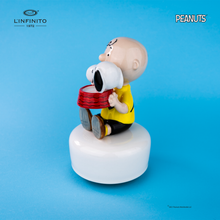Carica l'immagine nel visualizzatore di Gallery, Statuina di Charlie Brown e Snoopy nella ciotola dell'acqua, su carillon musicale.