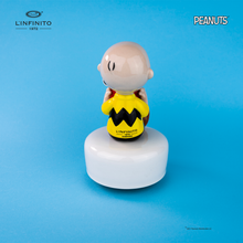 Carica l'immagine nel visualizzatore di Gallery, Statuina di Charlie Brown e Snoopy nella ciotola dell'acqua, su carillon musicale.