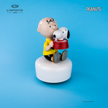 Carica l'immagine nel visualizzatore di Gallery, Statuina di Charlie Brown e Snoopy nella ciotola dell'acqua, su carillon musicale.