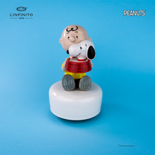 Carica l'immagine nel visualizzatore di Gallery, Statuina di Charlie Brown e Snoopy nella ciotola dell'acqua, su carillon musicale.